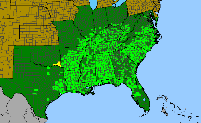 The range of Bignonia capreolata